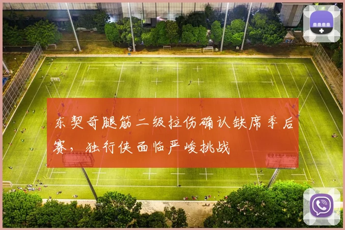 东契奇腿筋二级拉伤确认缺席季后赛，独行侠面临严峻挑战