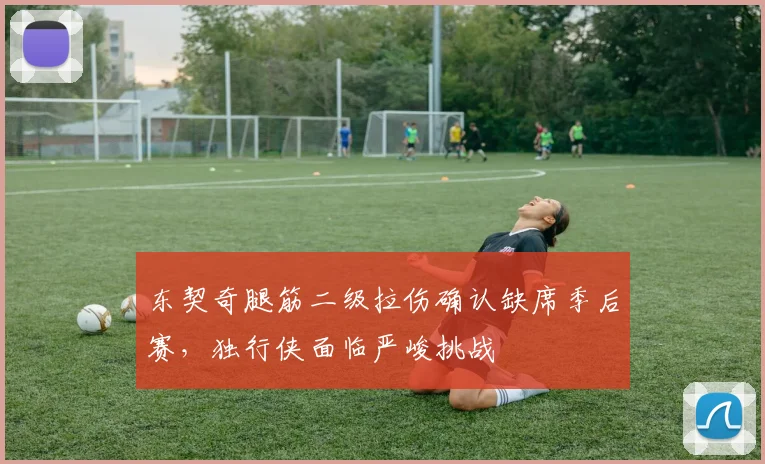 东契奇腿筋二级拉伤确认缺席季后赛,独行侠面临严峻挑战