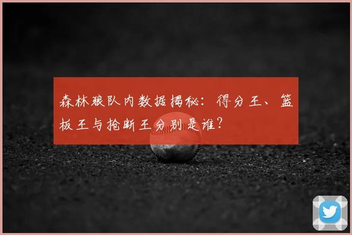 森林狼队内数据揭秘:得分王、篮板王与抢断王分别是谁?